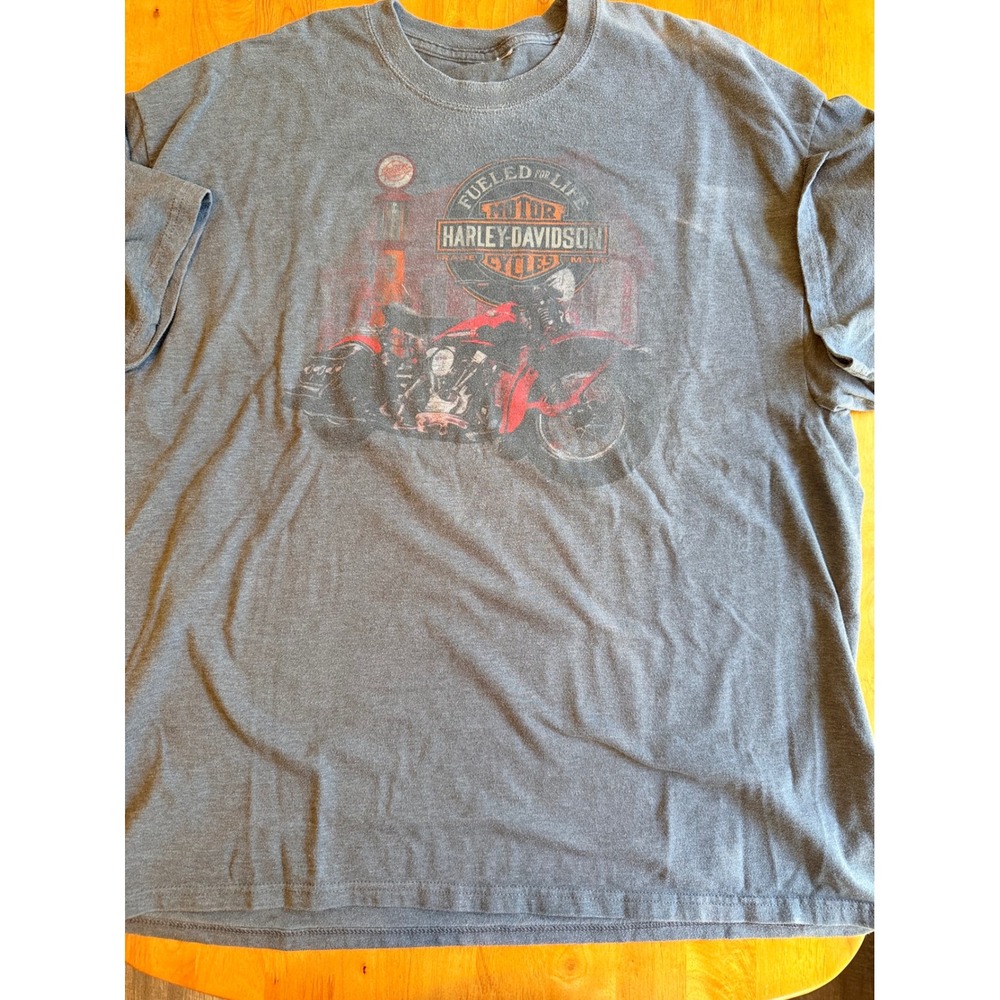 Harley Davidson Lynchburg Virginia Pinup Girl Graphic T-Shirt Gray Mens XL